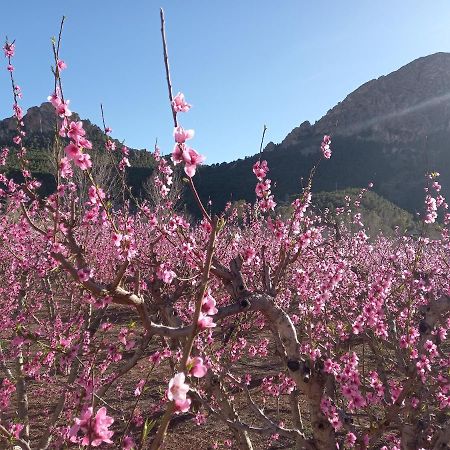 Apartamento Tranquilo Cerca De Zonas Verdes Cieza Bagian luar foto