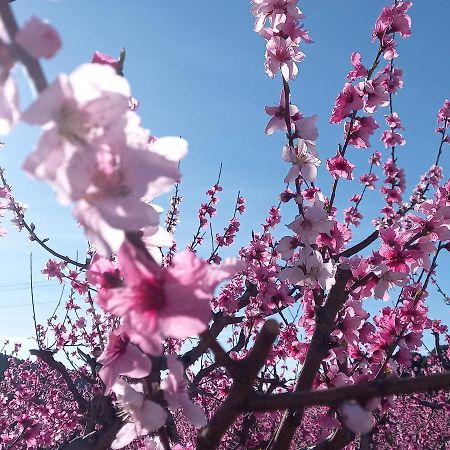 Apartamento Tranquilo Cerca De Zonas Verdes Cieza Bagian luar foto