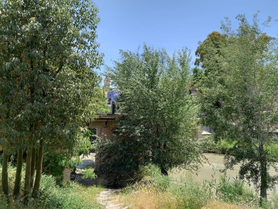 Apartamento Tranquilo Cerca De Zonas Verdes Cieza Bagian luar foto