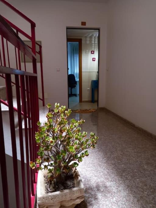 Apartamento Tranquilo Cerca De Zonas Verdes Cieza Bagian luar foto