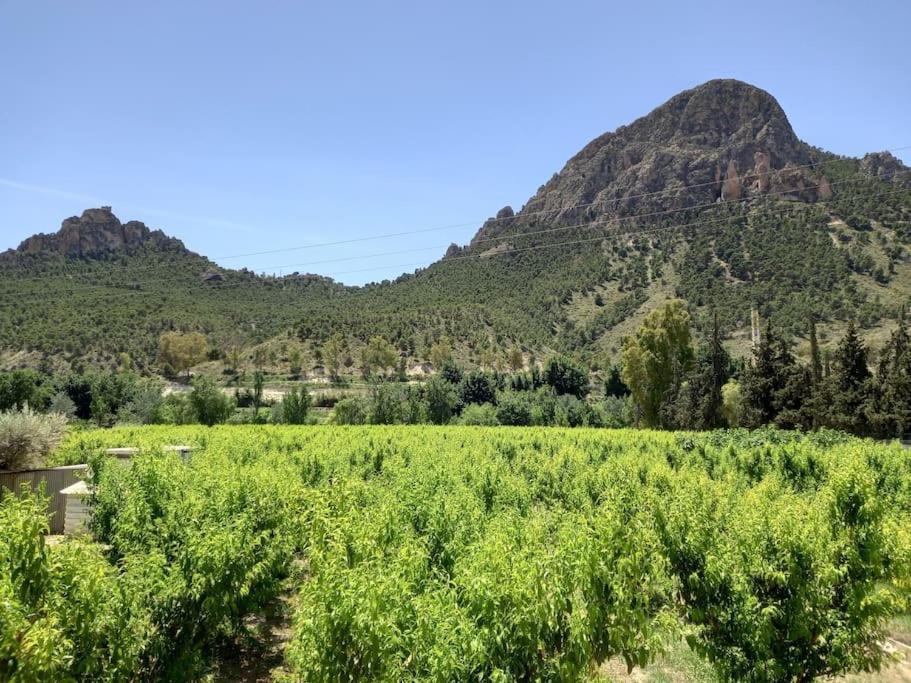 Apartamento Tranquilo Cerca De Zonas Verdes Cieza Bagian luar foto