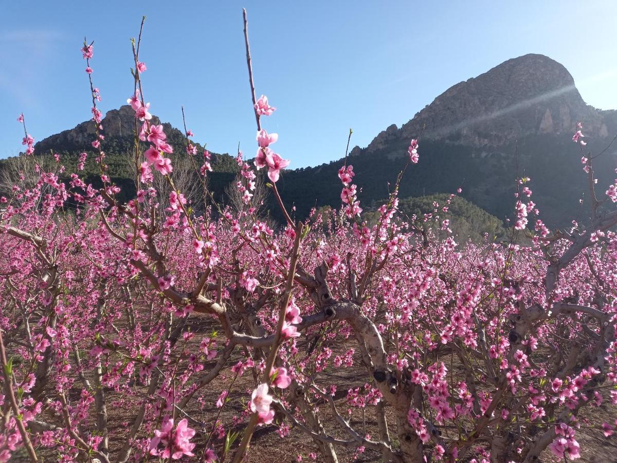 Apartamento Tranquilo Cerca De Zonas Verdes Cieza Bagian luar foto